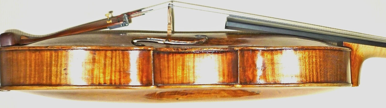 Bild einer Geige von der Seite